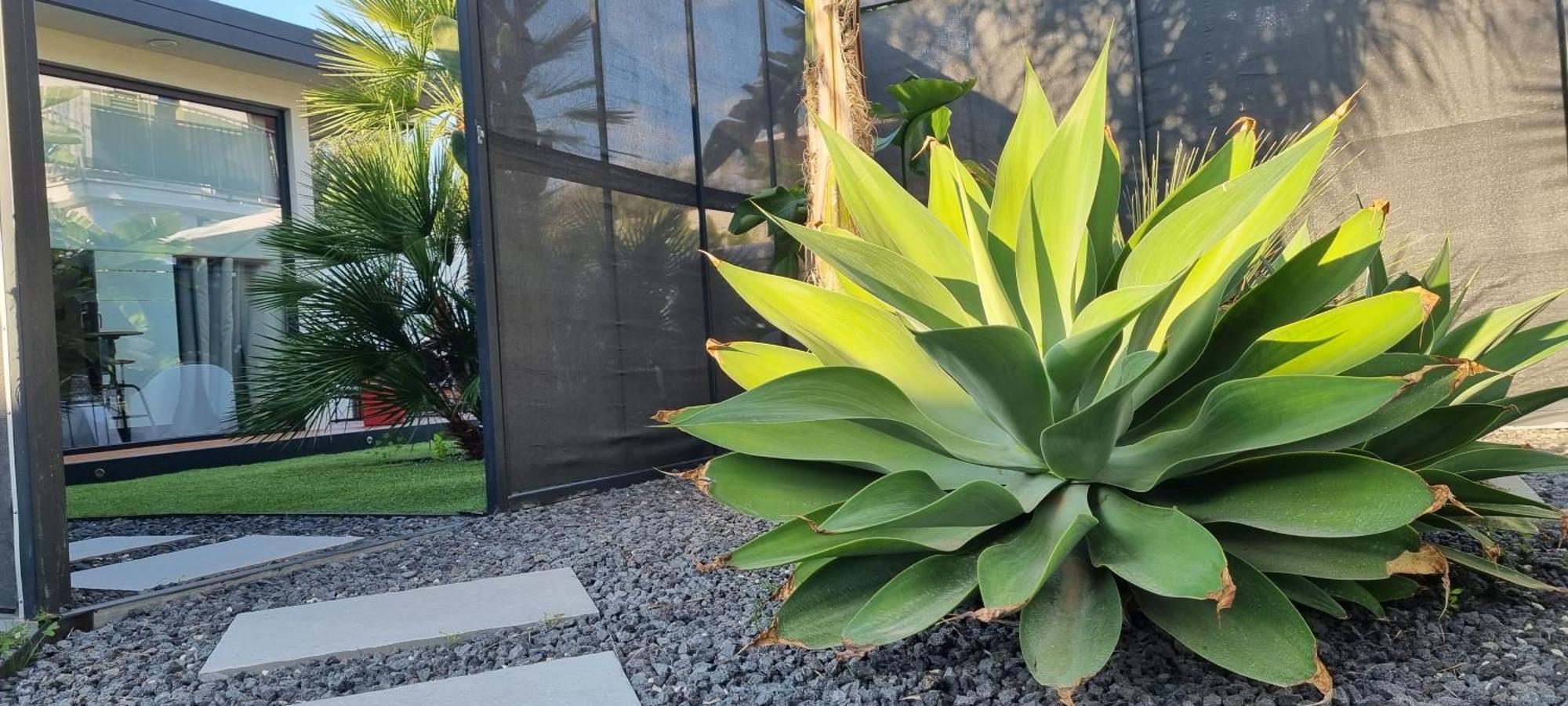 La Maison Della Valle Agrigento Zewnętrze zdjęcie